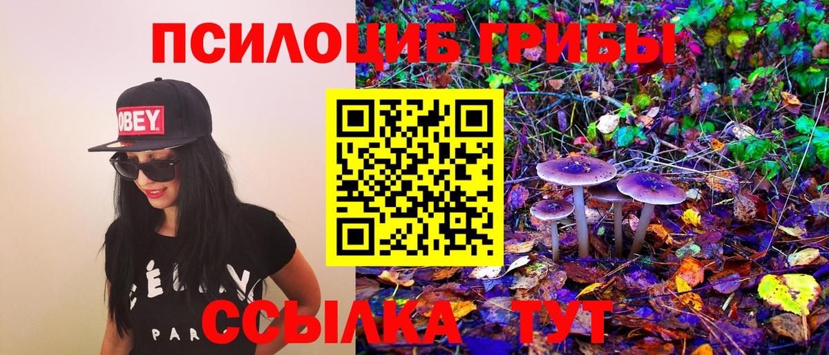 Галлюциногенные грибы Magic Shrooms Новый Уренгой